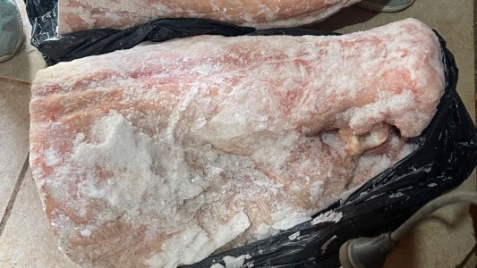 Allanamiento en Puerto San Martín por venta de carne de animales silvestres