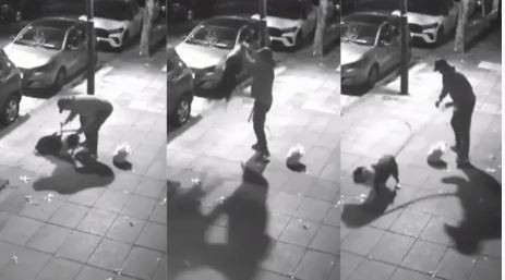 Brutal maltrato a un perro en Flores: buscan al dueño