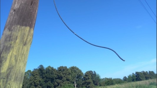 Sentenciaron a tres años de prisión a un robacable por acumular varias detenciones en cinco meses