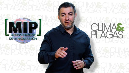 ¿Está vinculado el cambio climatico con la aparición de plagas? (1)