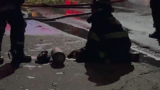 Los bomberos rescataron y reanimaron a una gatita