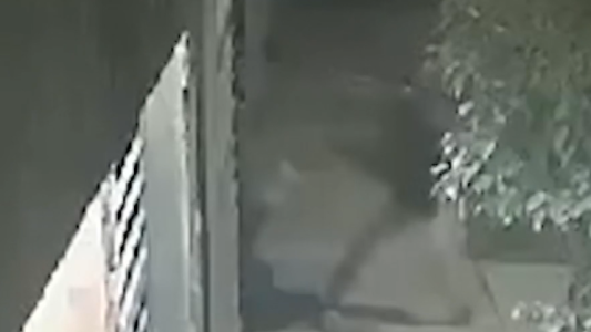 Brutal robo a una mujer embarazada de 8 meses: la golpearon y tiraron al piso