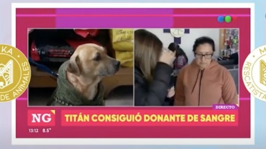 Una historia de solidaridad: Titán encontró un donante de sangre