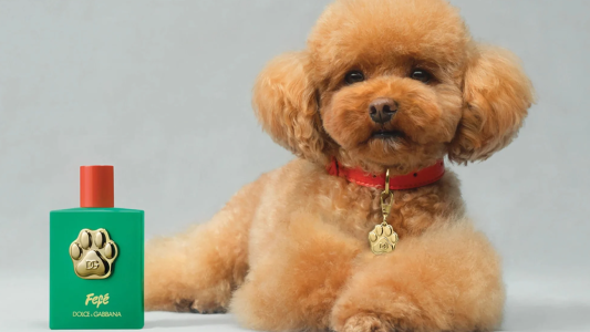 Lanzan un perfume para perros que cuesta más de 100 dólares