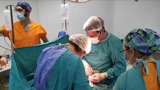 Santa Fe posibilitó uno de cada seis trasplantes en el país durante julio