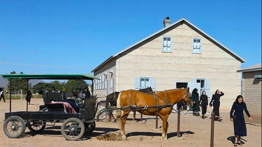Menonitas en Argentina: sin luz ni celular y aislados del mundo en un tranquilo paraje