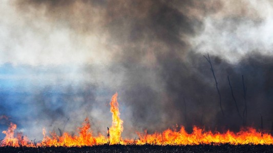 Rosario en llamas: hay al menos 4 focos de incendio activos en la región