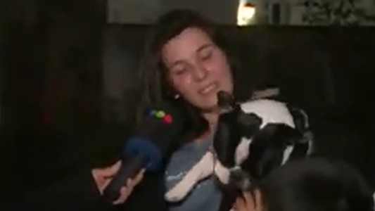 Mateo, el bulldog francés que volvió a su casa gracias a la audiencia de Telefe Rosario