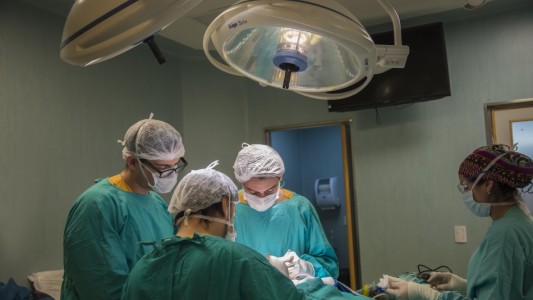 Donación de órganos y tejidos: Rosario se ubica entre las primeras ciudades del país