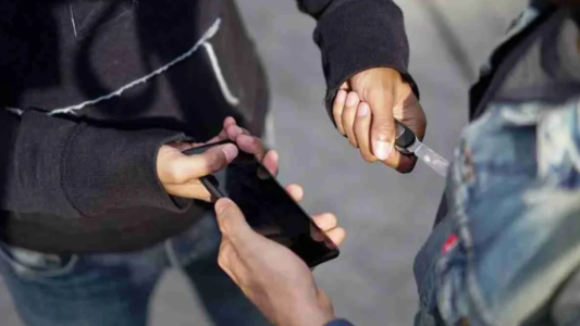 Informe: Mar del Plata y La Plata son las ciudades bonaerenses donde más creció el delito