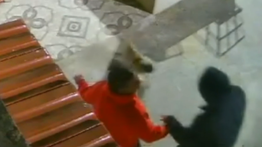 Video: lo asaltaron y, como no tenía celular ni dinero, le robaron a su perra