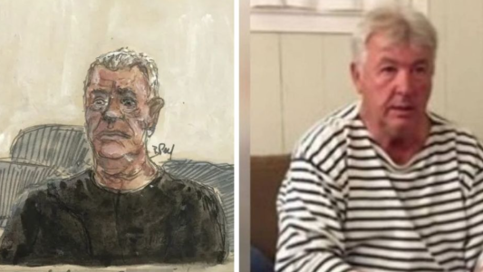 "Soy un violador" y "pido perdón", dijo en el juicio el acusado de drogar a su mujer para que sea abusada