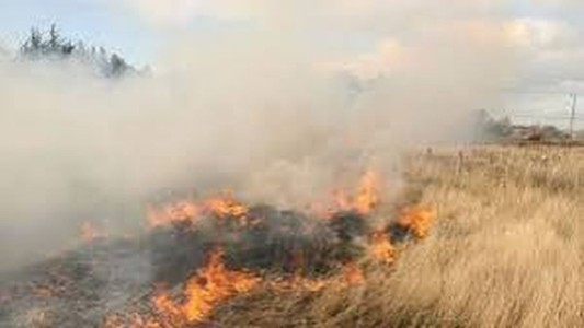 Autopista Rosario-Córdoba: detuvieron a un automovilista sospechado de quemar pastizales en el kilómetro 300
