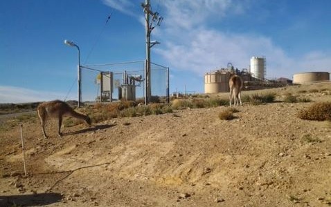 Pan American Silver cierra la mina de oro y plata en Santa Cruz: "El impacto para la localidad es algo tremendo"