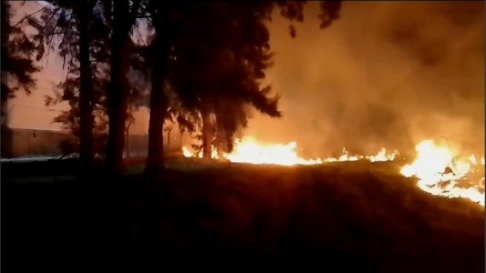 Rosario: bomberos sofocaron un incendio en el Bosque de los Constituyentes