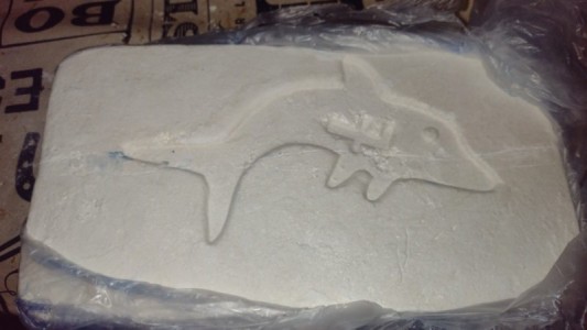 La Lata: cayó una banda que comercializaba droga con el sello de un delfín