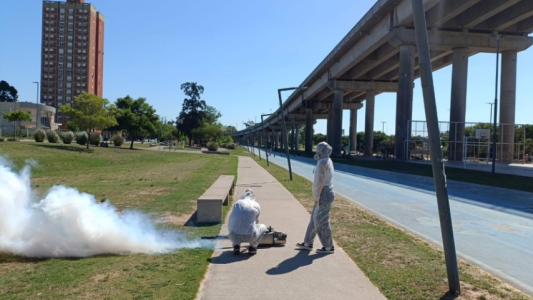 El municipio está realizando operativos de fumigación en áreas verdes