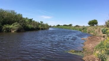 Convocan a plantar más de 400 árboles a la vera del arroyo Ludueña