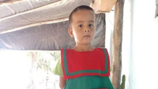 Caso Loan: la jueza solicitó imágenes tomadas por satélites en el campo de la abuela Catalina