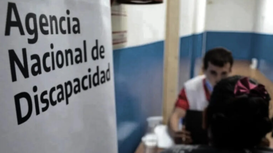 Irregularidades: el Gobierno nacional avanzará con la baja de 200.000 pensiones por discapacidad