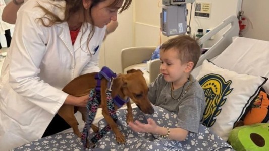 La historia de Nico y su perrita Nikita: pudo recibir a su compañera en el Sanatorio de Niños