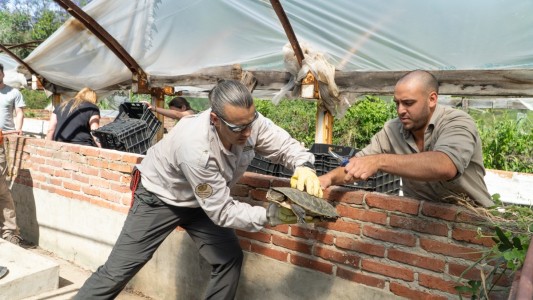 Nuevas especies llegaron a Santa Fe para ser reinsertados en sus hábitats