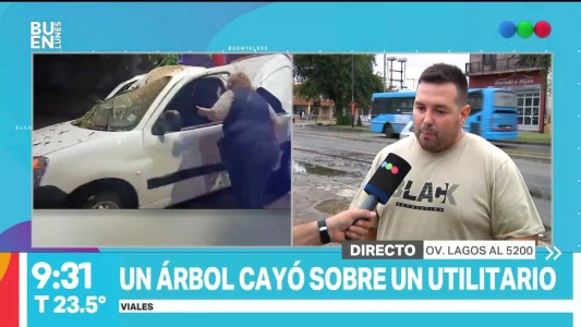 Un árbol cayó sobre una camioneta que circulaba por Lagos al 5200