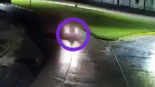 Discusión, vuelco y muerte en Necochea: con un video, se acrecientan las sospechas de femicidio