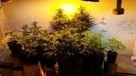 Desbarataron el “búnker del centro” de Rosario