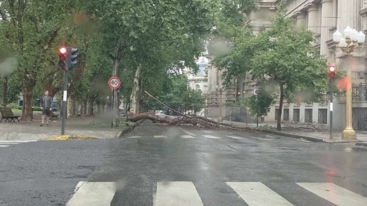 Las ráfagas de más de 100 kilómetros por hora dejaron como consecuencias árboles caídos y calles anegadas