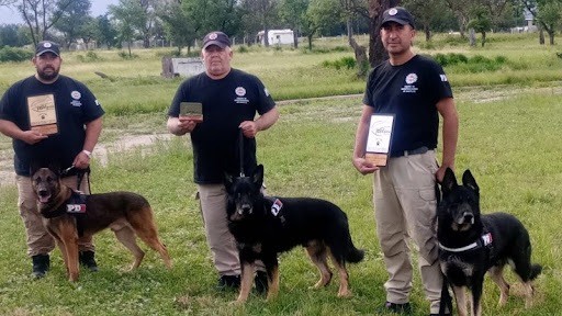 Perros de la PDI salieron campeones en una competencia de detección de sustancias y búsqueda de personas