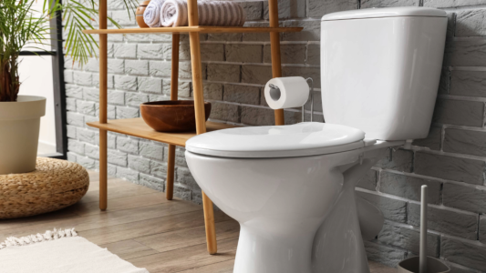 El inodoro, "un lugar de paz": el proyecto de una diputada bonaerense