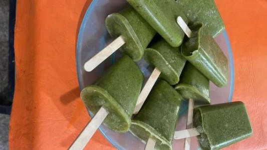 Estudiantes de Alta Gracia elaboraron helado de clorofila con vegetales de su huerta escolar