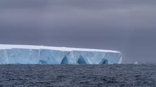 Se desprendió el iceberg más grande del mundo y navega por el océano: qué impacto tendrá