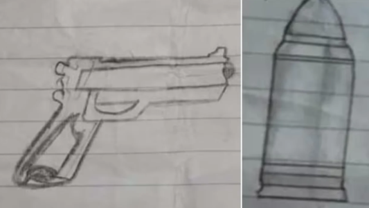 "Se van a arrepentir de llamarme rara”, una nena de 12 años fue con un arma a la escuela en Florencio Varela