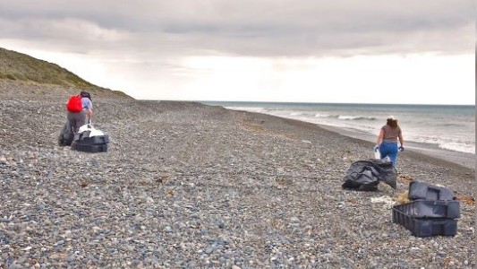 Recolectan más de 100 kilos de basura de una playa argentina