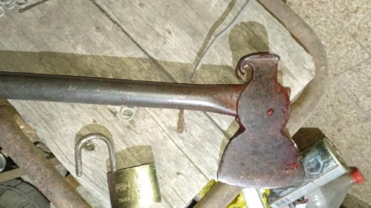 Discutió con su hermana y la mató de un hachazo en la cabeza