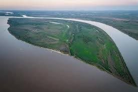 Nuevos incendios en el Delta: focos activos frente a Granadero Baigorria