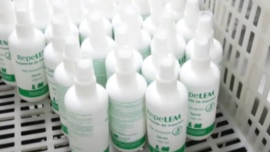 Primeros repelentes producidos por la municipalidad