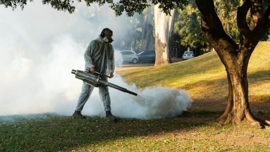 Fumigarán 66 espacios verdes para controlar la plaga de mosquitos