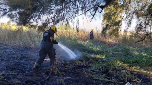 Nuevo incendio en el Bosque de los Constituyentes