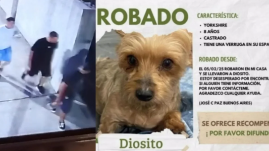 Asaltaron una casa y golpearon a la dueña que podría perder un ojo: además le robaron el perro