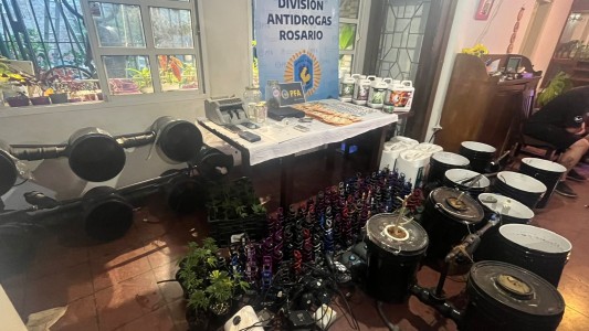 Desmantelan vivero de drogas en Rosario: Cuatro detenidos