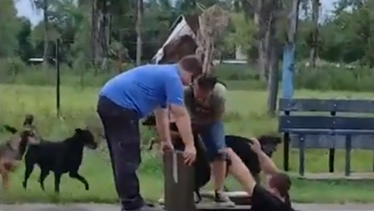 Bomberos salvan a dos canes atrapados en alcantarilla en Andino