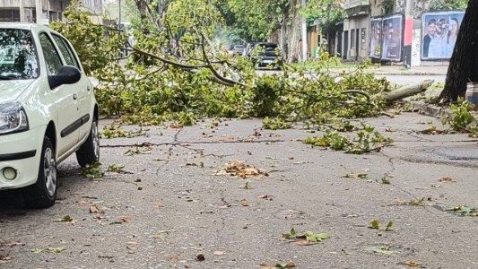 Fuerte temporal en Rosario: árboles caídos, cortes de luz y calles cortadas en diferentes zonas de la región