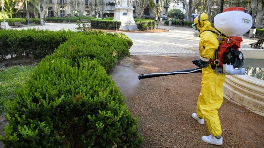 Rosario sigue siendo el epicentro del dengue, pero con una disminución drástica de casos