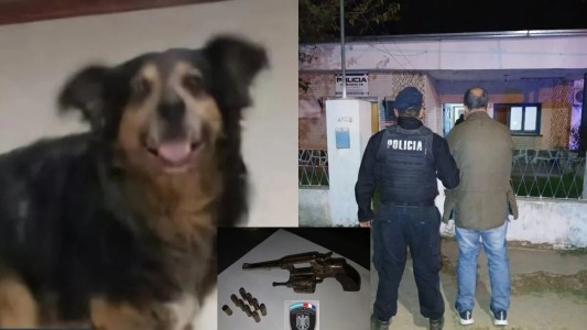 Un hombre mató de un tiro al perro del vecino y quedó detenido