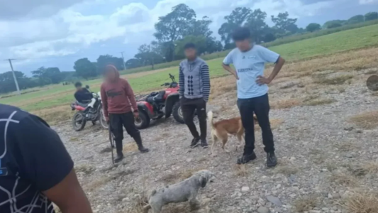 Condenaron a un hombre a dos años de prisión por matar a una perra