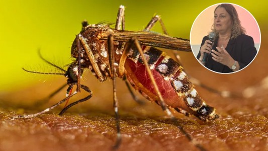 Salud: el Gobierno provincial afirmó que ya no hay brotes de dengue en Santa Fe