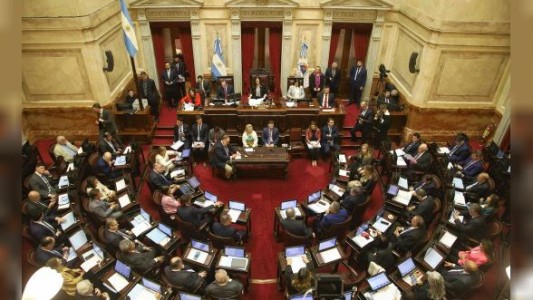 Senadores buscan donar el nuevo aumento en las dietas al Garrahan